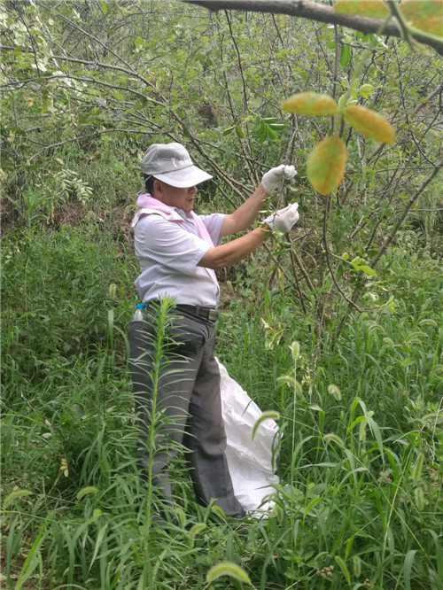 又是一個(gè)收獲的季節(jié)——重慶市樹上鮮食品集團(tuán)濃香花椒基地今年喜獲豐收！